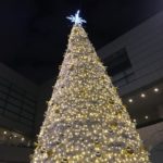 operacityのツリー