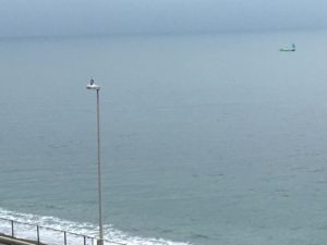 20170814曇りの海とカモメ